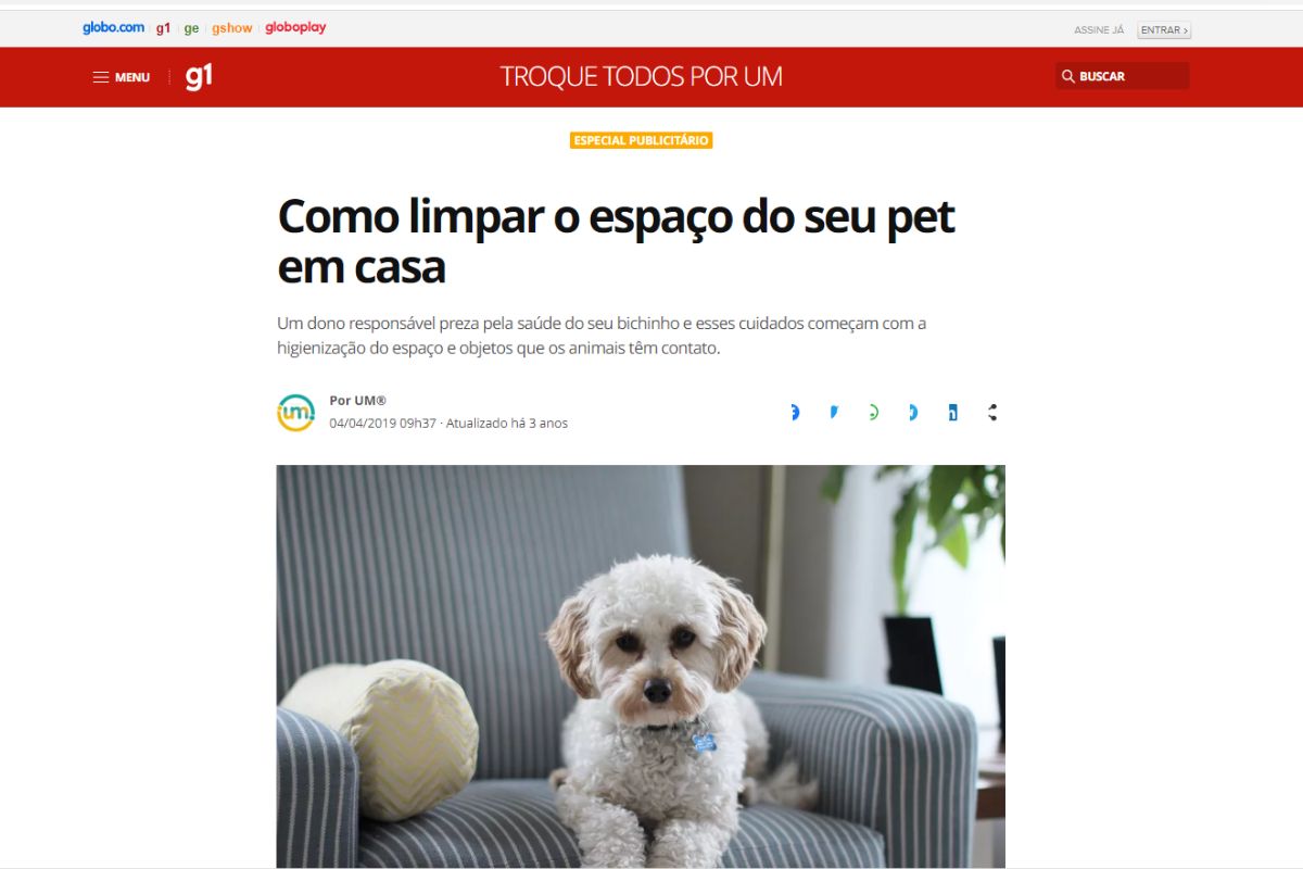 Como limpar a caminha do cachorro/Imagem extraída do site G1/Globo.com
