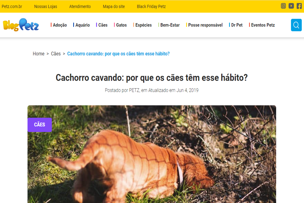 Publicação do site petz.com.br sobre cachorroros que cavam buracos no jardim - Imagem portal Petz
