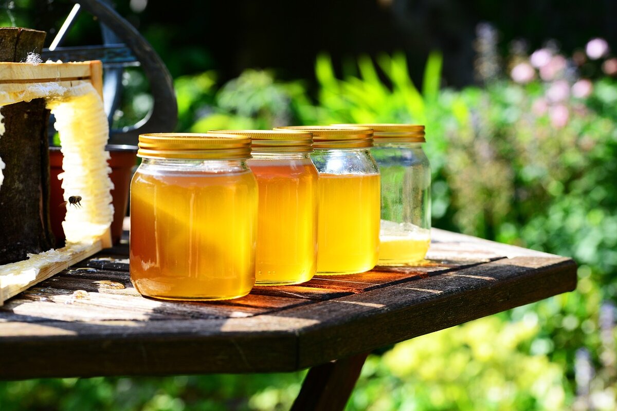 4 benefícios do mel e qual é a quantidade certa de consumir por dia; confira - Imagem: Pixabay