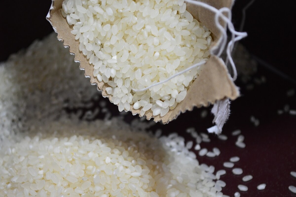 É necessário lavar o arroz para cozinhar ou não? Entenda o que é melhor - Imagem: Pixabay