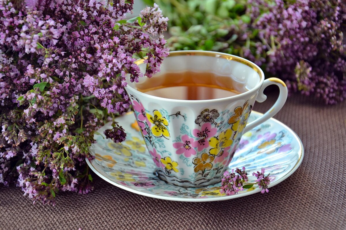 Chá de orégano: 5 razões para consumir essa bebida com mais frequência, confira! - Imagem: Pixabay
