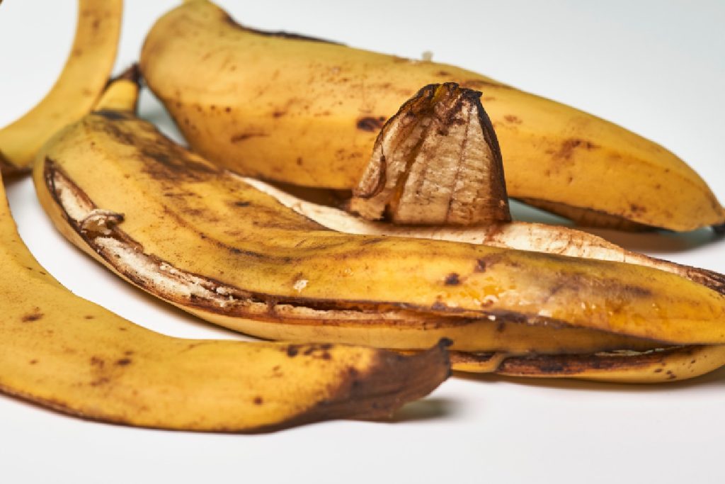 Aprenda a usar cascas de banana no jardim; método fácil