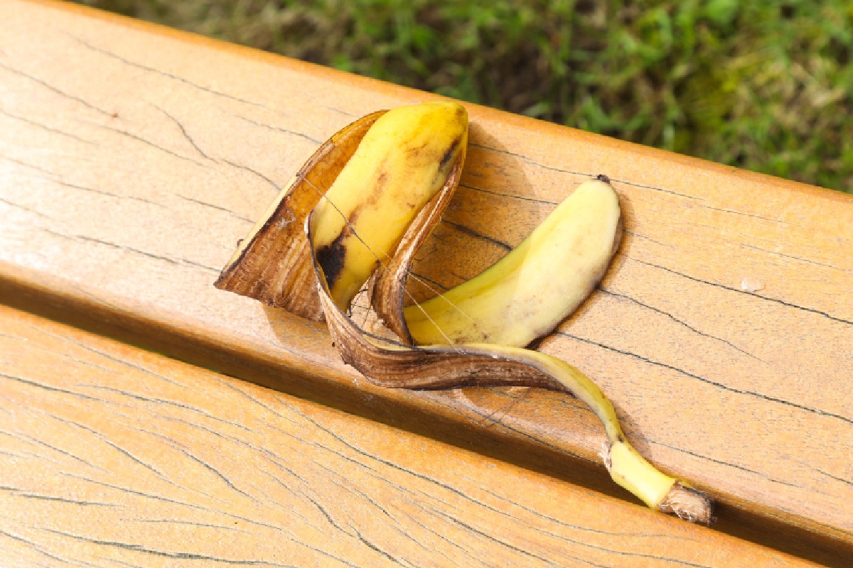Casca de banana (Foto: Reprodução Instagram)
