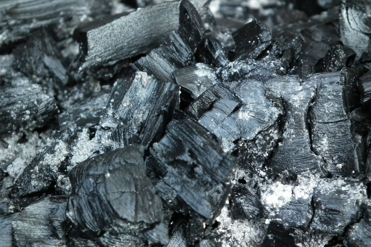 Carvão Vegetal - Fonte Canva.
