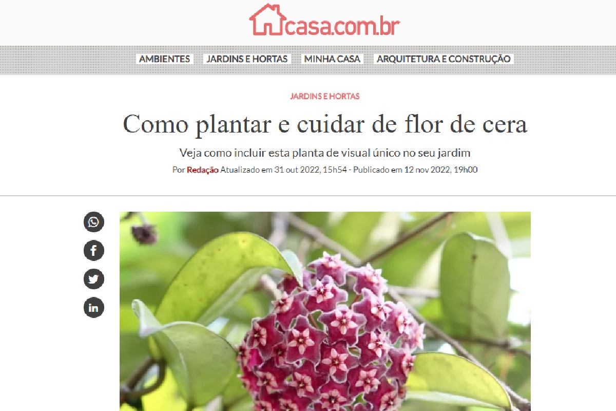 Reportagem sobre a Flor de cera - Foto: Site Abril