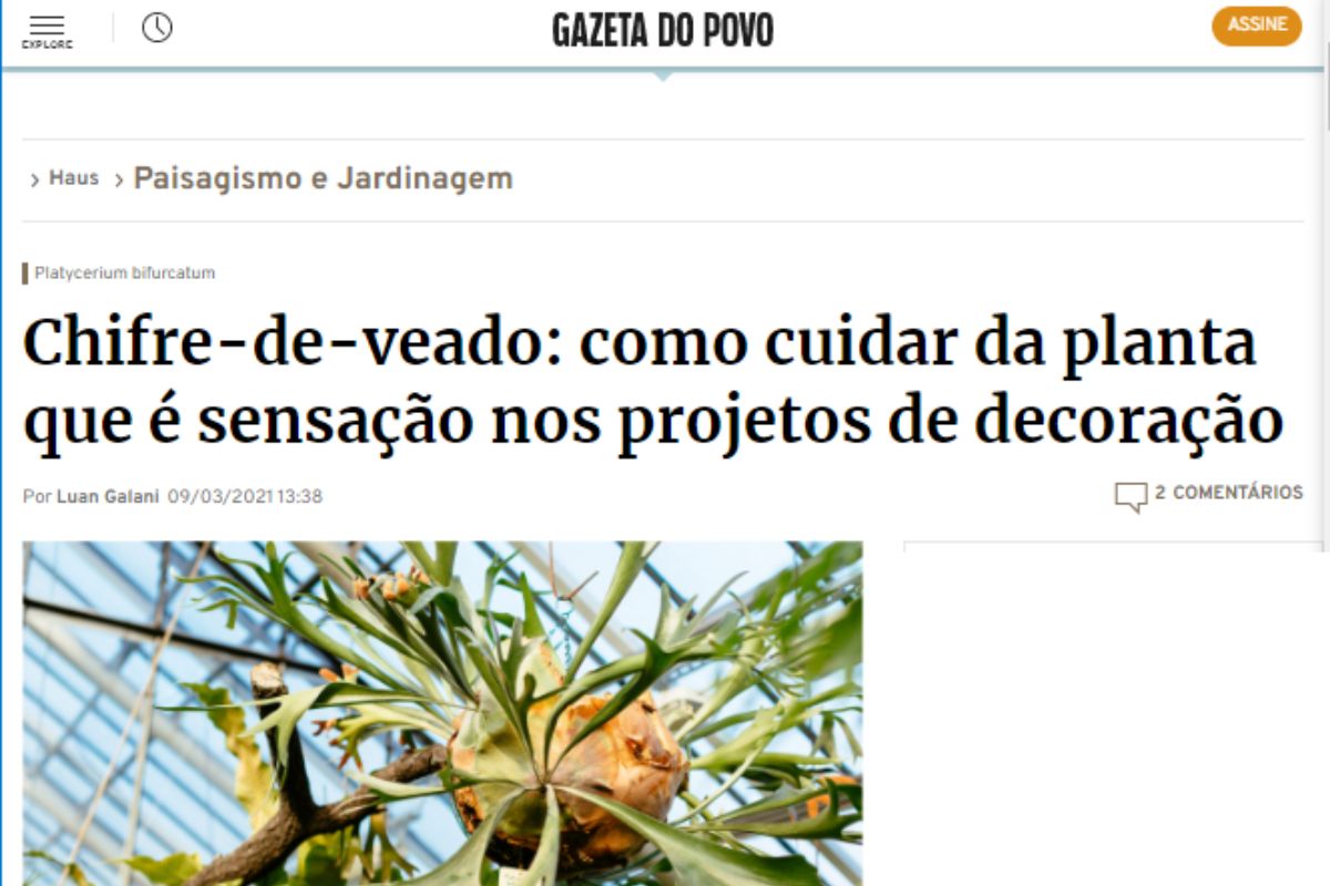 Imagem Gazeta do Povo