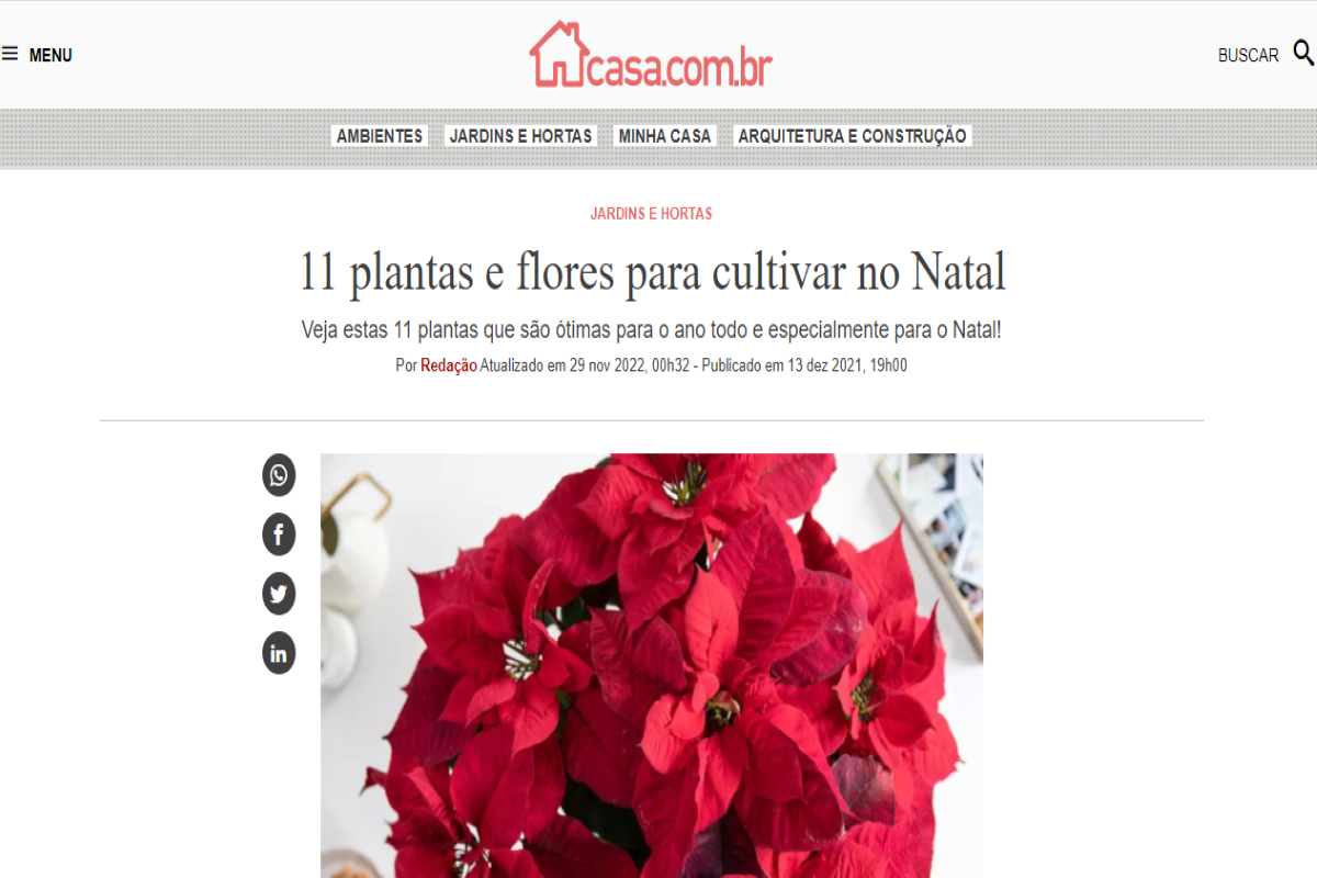 Publicação do site casa.abril.com.br sobre plantas ideias para a decoração de Natal - Imagem portal Abril