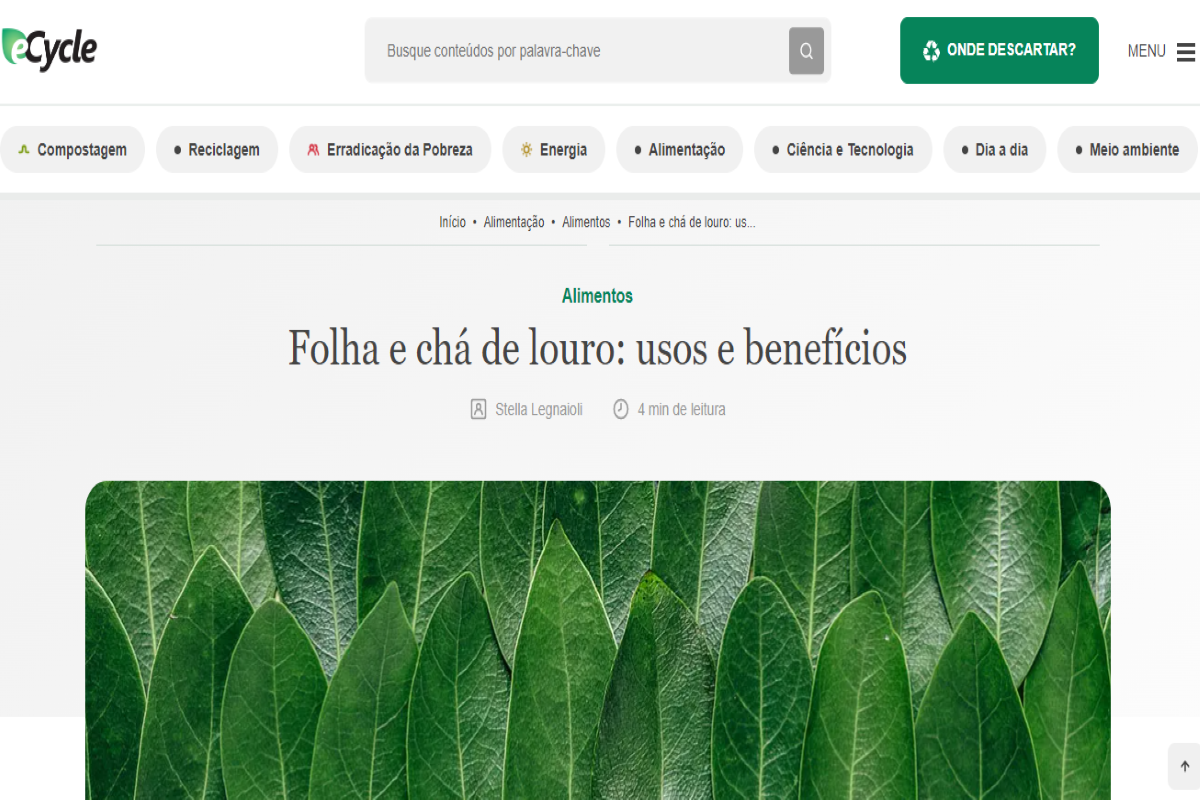 Publicação do site ecycle.com.br sobre os benefícios da folha de louro - Imagem portal Ecycle