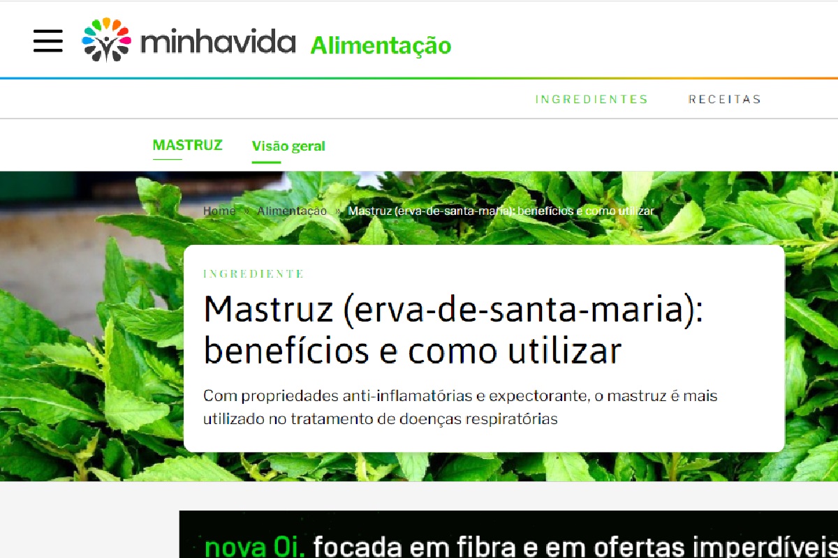 Publicação sobre Mastruz - Imagem extraída do site www.minhavida.com.br/