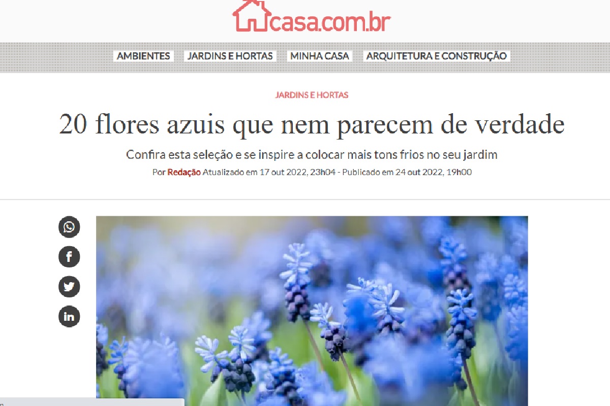 Reportagem plantas azuis - Foto: site Casa.abril
