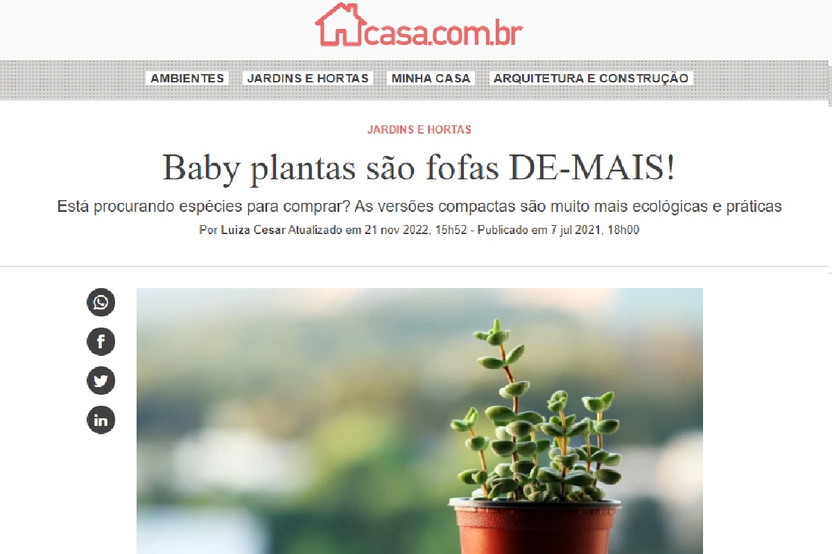 Reportagem sobre Baby Plantas (Foto: Reprodução portal Abril)