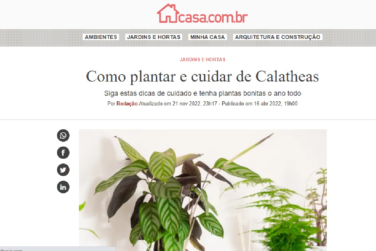 Reportagem sobre Calatheas (Foto: Reprodução site da Abril)