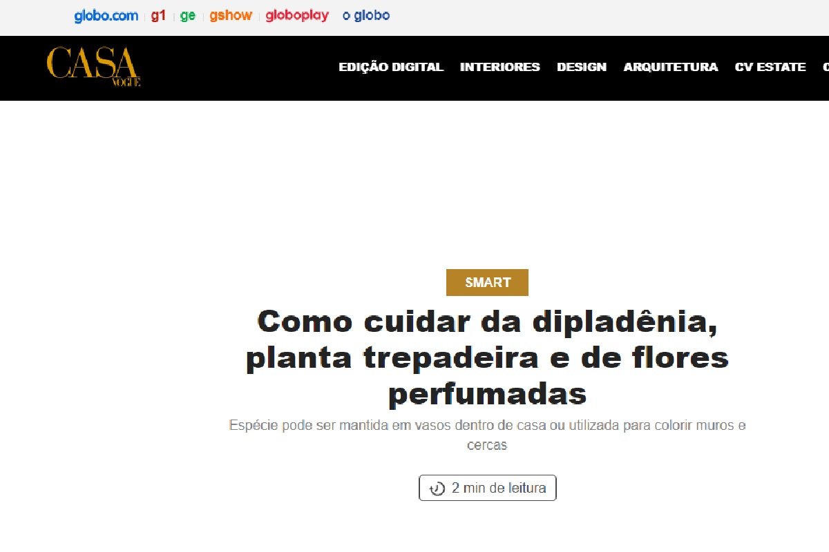 Reportagem sobre Dipladênia - Foto: Portal Globo