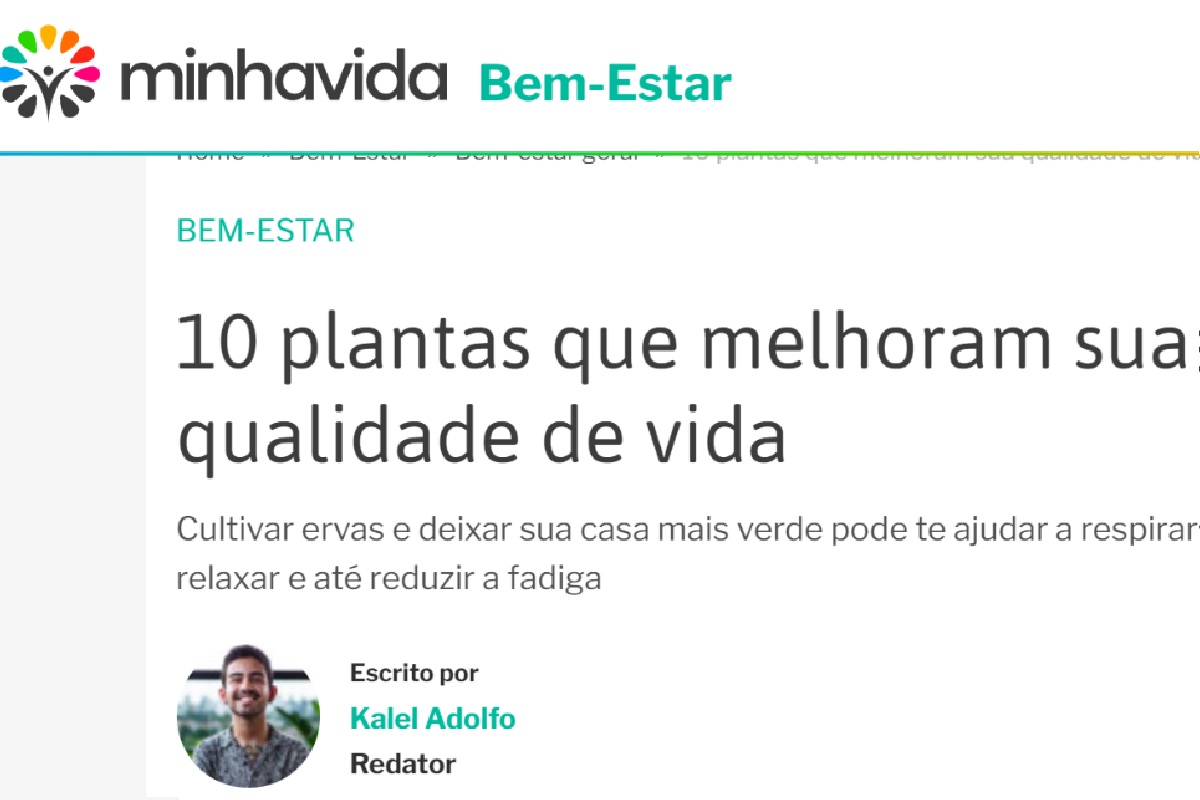 Reportagem sobre Plantas que melhoram a qualidade de vida - Imagem extraída do site www.minhavida.com.br/