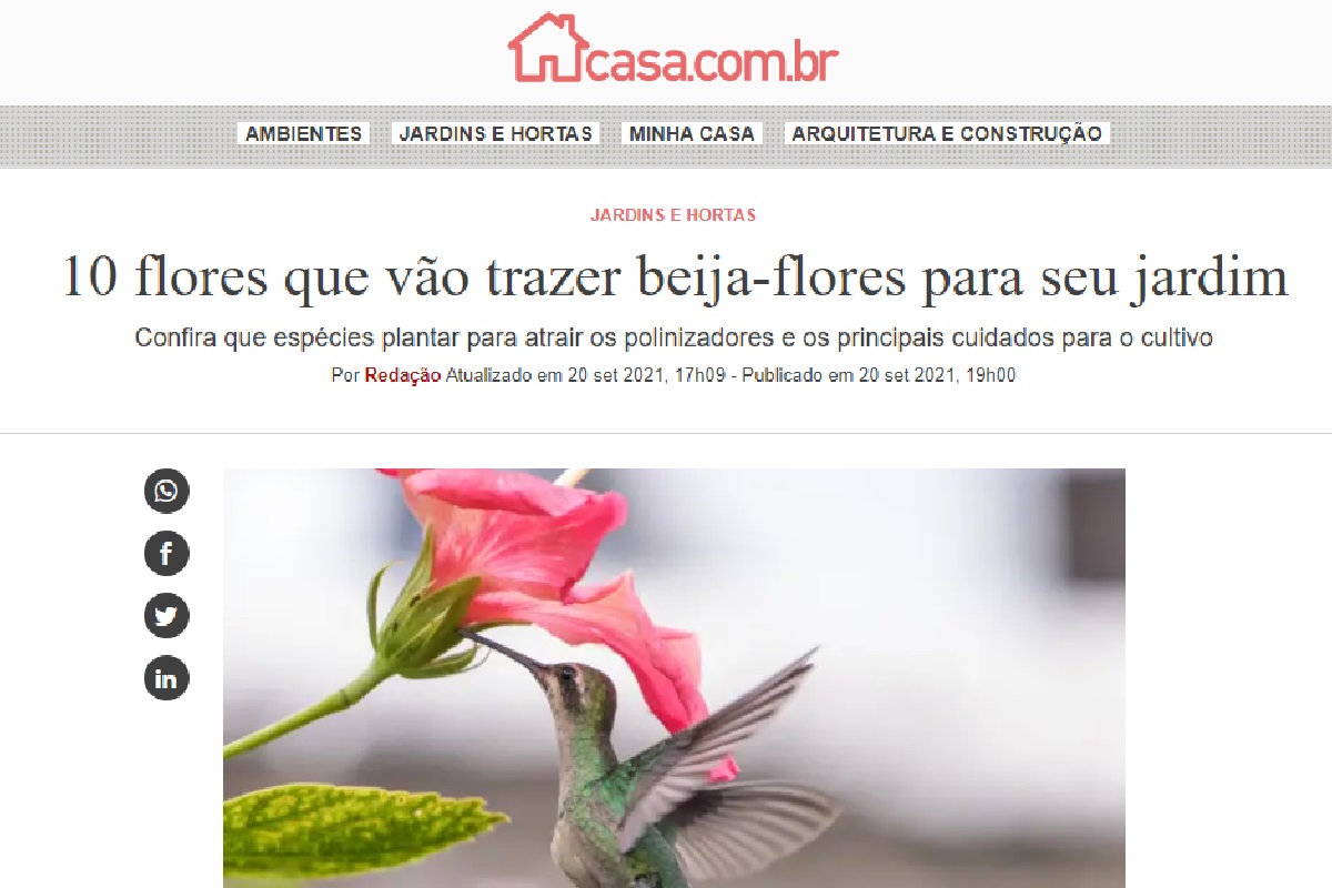 Reportagem sobre beija flores (Foto: Reprodução portal Abril)