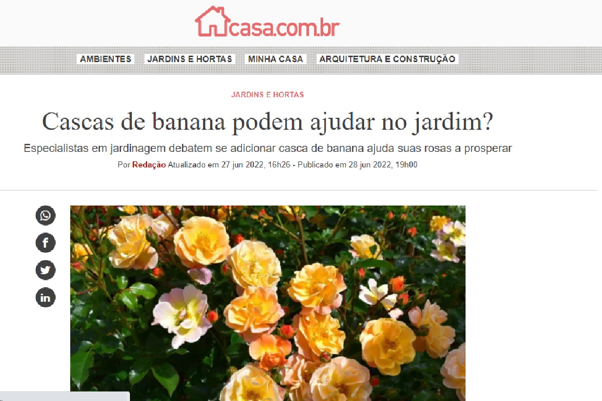 Reportagem sobre cascas de banana - Reprodução Site Casa da Abril