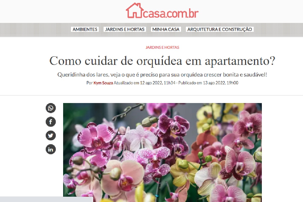 Reportagem sobre como cuidar de orquídeas em apartamento - Foto: Reprodução site Abril