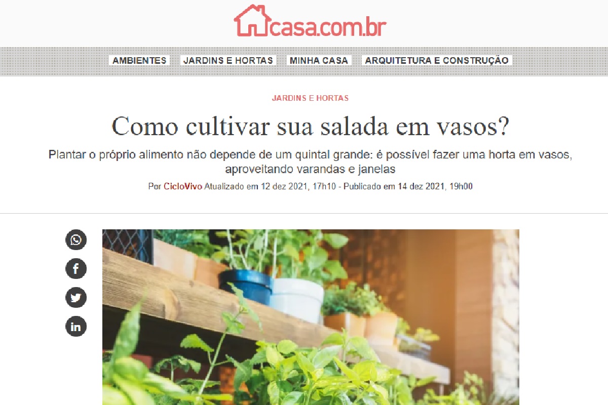 Reportagem sobre cultivar salada em vasos (Foto: Reprodução site da Abril)