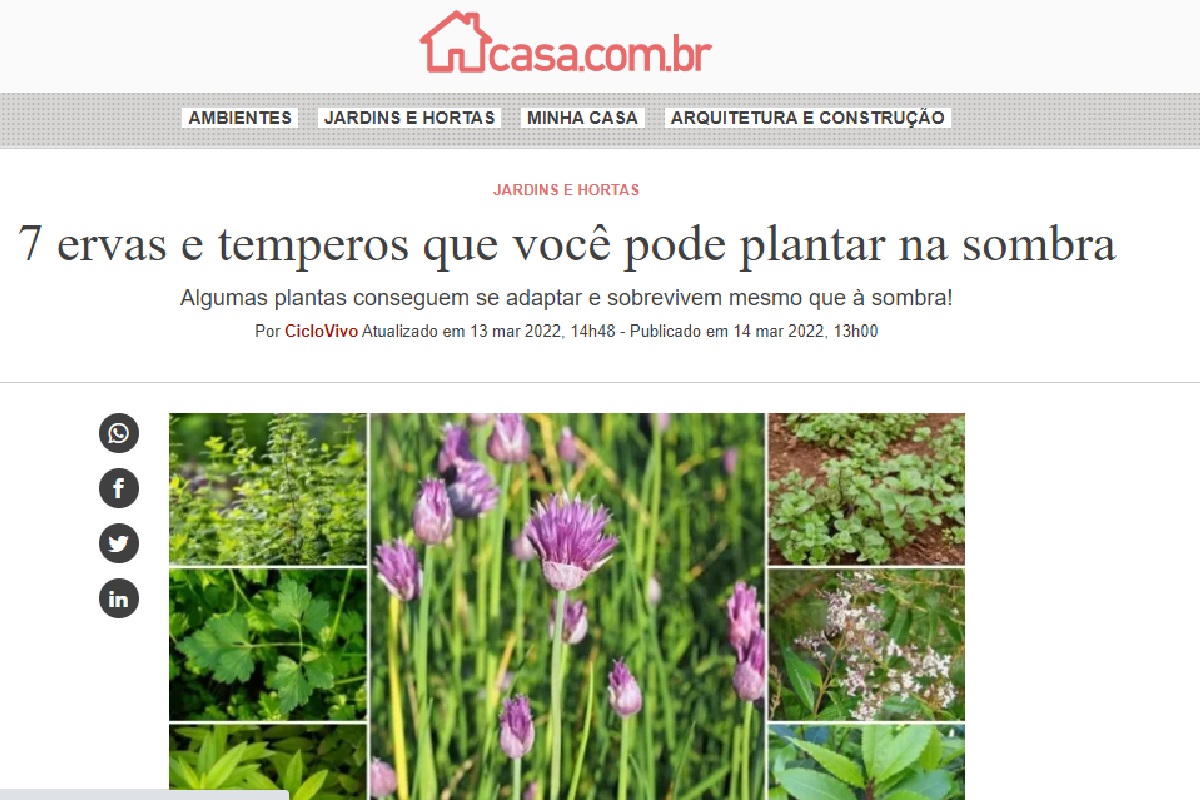 Reportagem sobre ervas e temperos (Foto: Reprodução site da Abril)