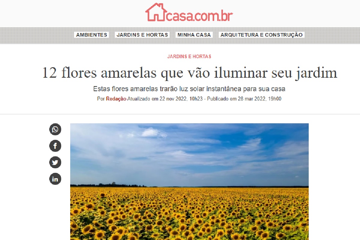 Reportagem sobre flores amarelas (Foto: Reprodução site da Abril)
