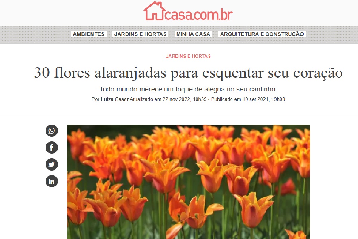 Reportagem sobre flores laranjas (Foto: Reprodução portal Abril)