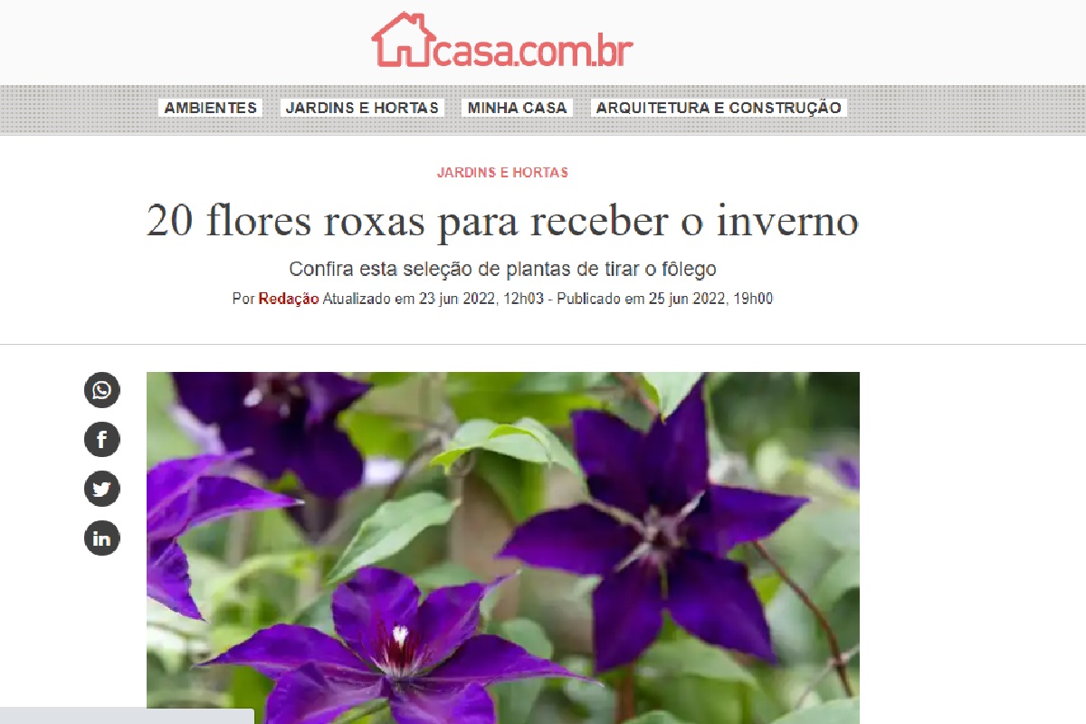 Reportagem sobre flores roxas - Reprodução Site Casa da Abril