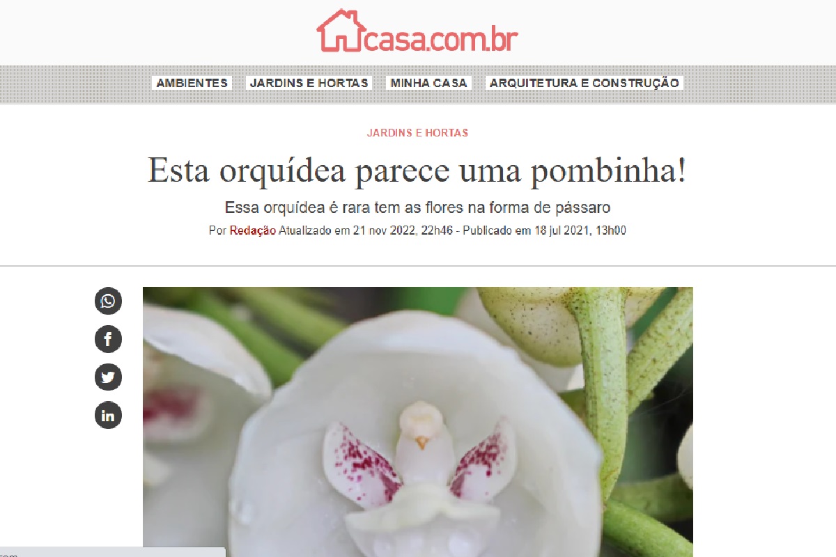 Reportagem sobre orquídea (Foto: Reprodução portal Abril)