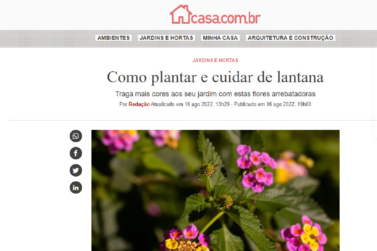 Reportagem sobre plantar e cultivar lantanas - Foto: Reprodução site Abril