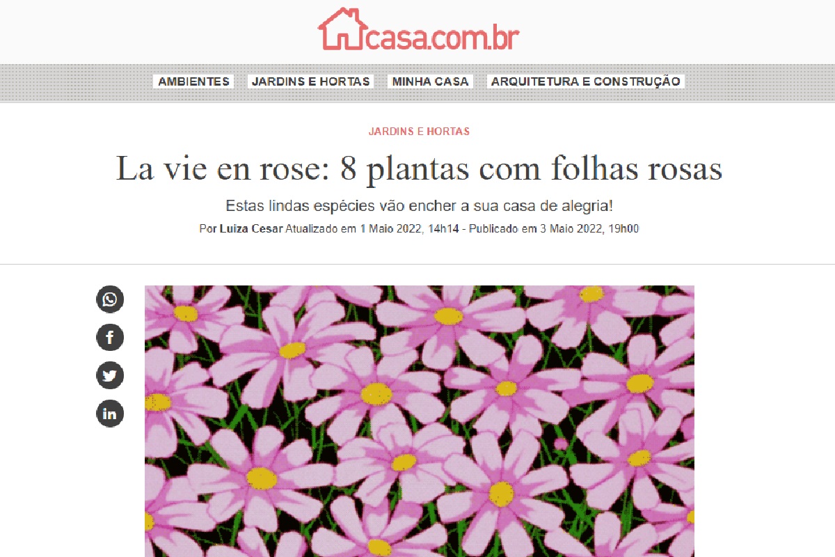 Reportagem sobre plantas com folhas rosas (Foto: Reprodução site da Abril)