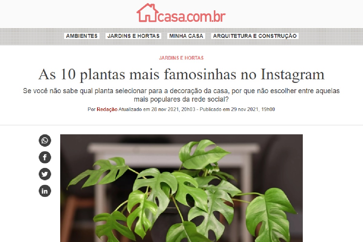 Reportagem sobre plantas famosas no Instagram (Foto: Reprodução site da Abril)