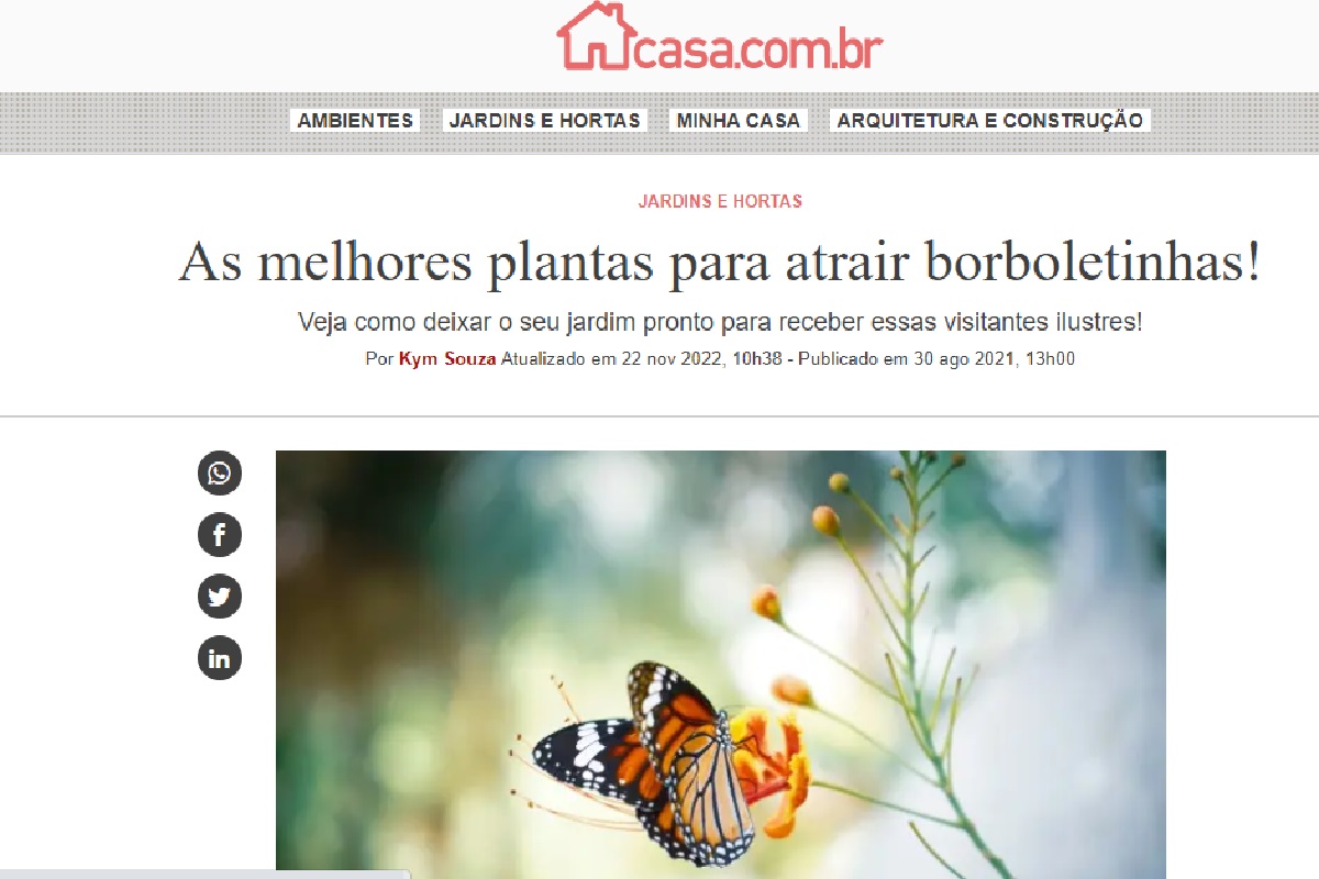 Reportagem sobre plantas para atrair borboletas (Foto: Reprodução portal Abril)