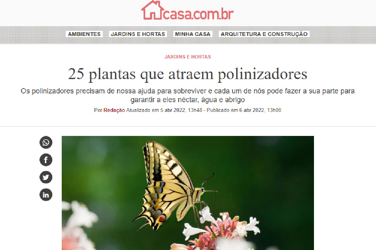 Reportagem sobre plantas que atraem polinizadores (Foto: Reportagem site Abril)