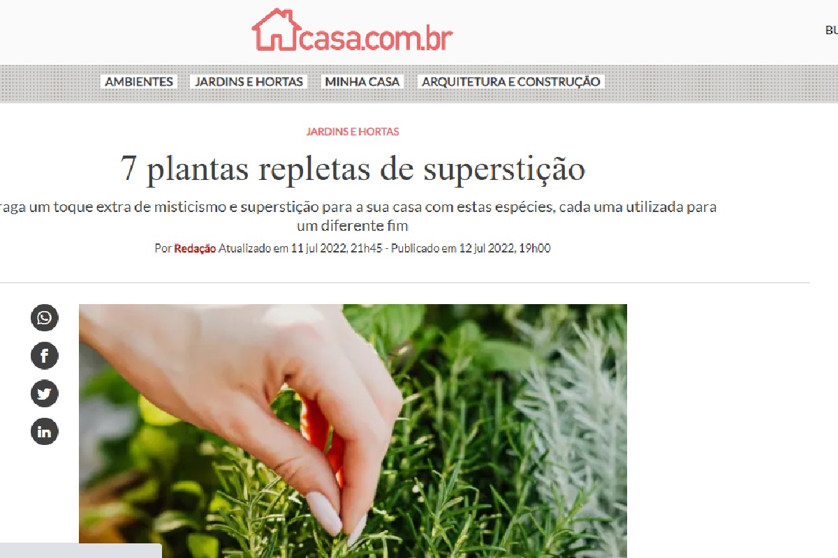 Reportagem sobre plantas refletas de supertição - Reprodução Site Casa da Abril