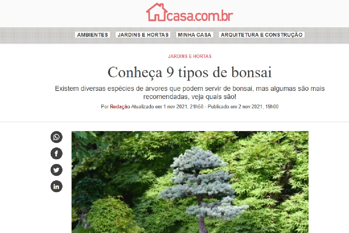 Reportagem sobre tipos de bonsai (Foto: Reprodução portal Abril)