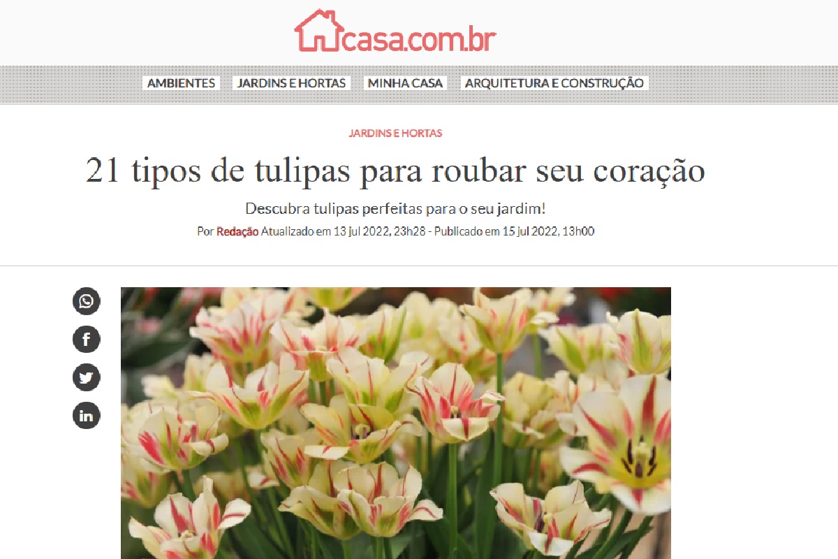 Reportagem sobre tulipas - Reprodução Site Casa da Abril