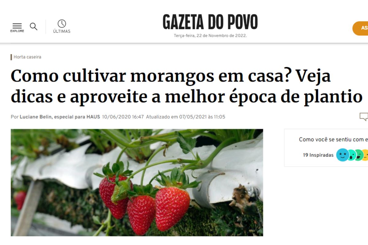 Imagem: Gazeta do Povo