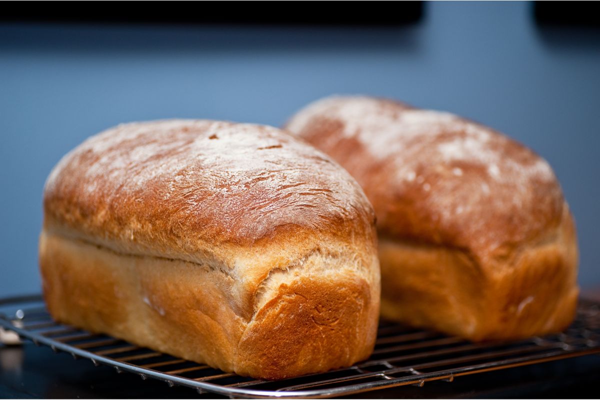 A melhor forma para deixar o pão fresco todos os dias; conheça o truque