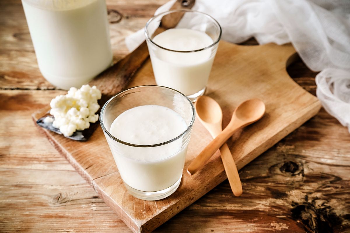 Kefir com leite caseiro; aprenda como fazer corretamente em casa
