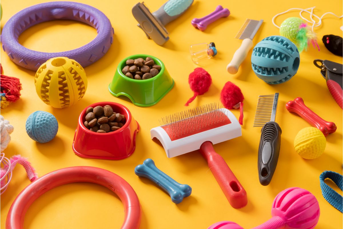 Dicas para limpar o cantinho do cachorro e higienizar os brinquedos; veja - Reprodução Canva