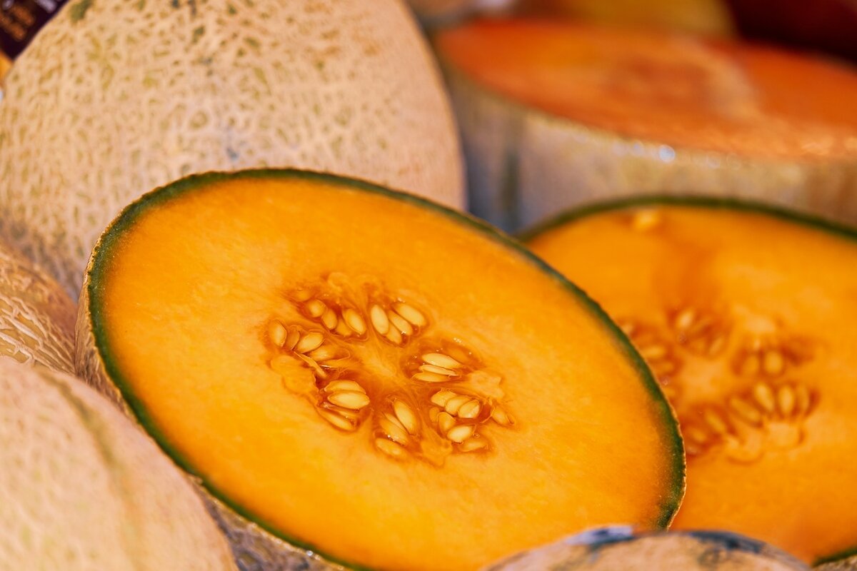 Mamão ou melão? Conheça as diferenças nutricionais de cada opção para compor sua alimentação - Imagem: Pixabay