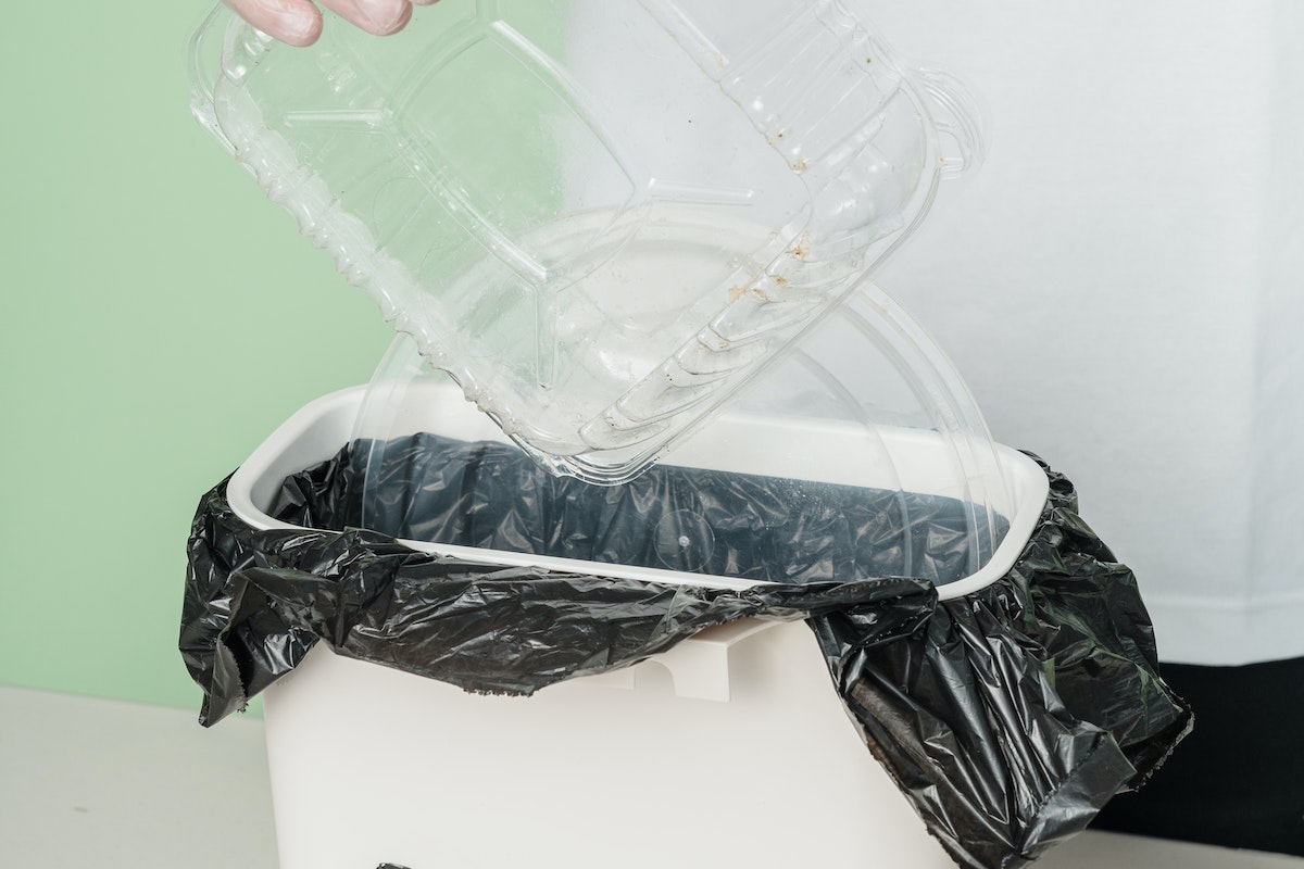 Como higienizar lixeira da forma correta? Evite bactérias e formigas no seu lar