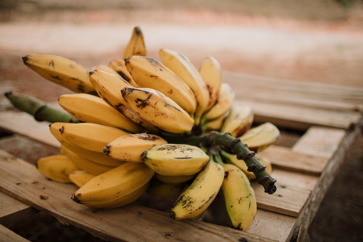 Saiba como evitar que a banana estrague ou amadureça tão rápido; dicas para conservar por mais tempo