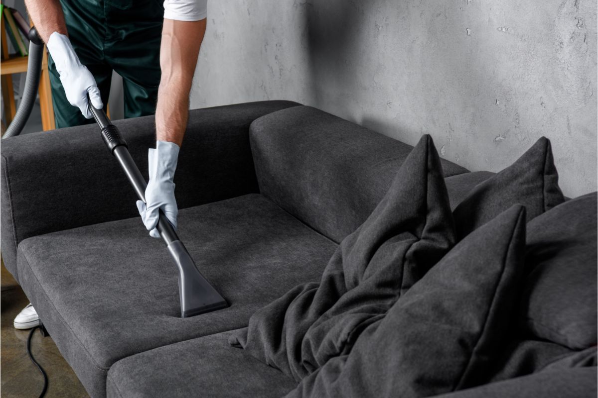 Como limpar o sofá com o aspirador de pó? Veja como usar o equipamento corretamente - Reprodução Canva
