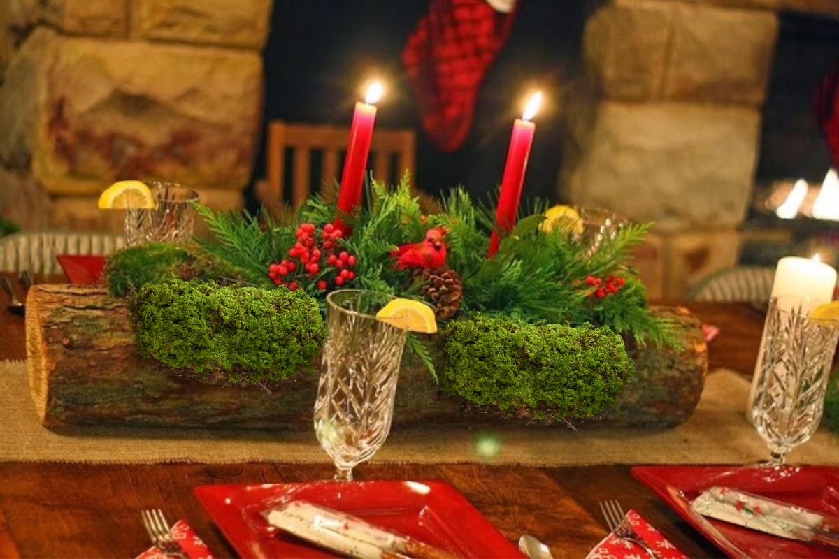 Como fazer decoração de Natal com plantas naturais- Foto Canva Pro