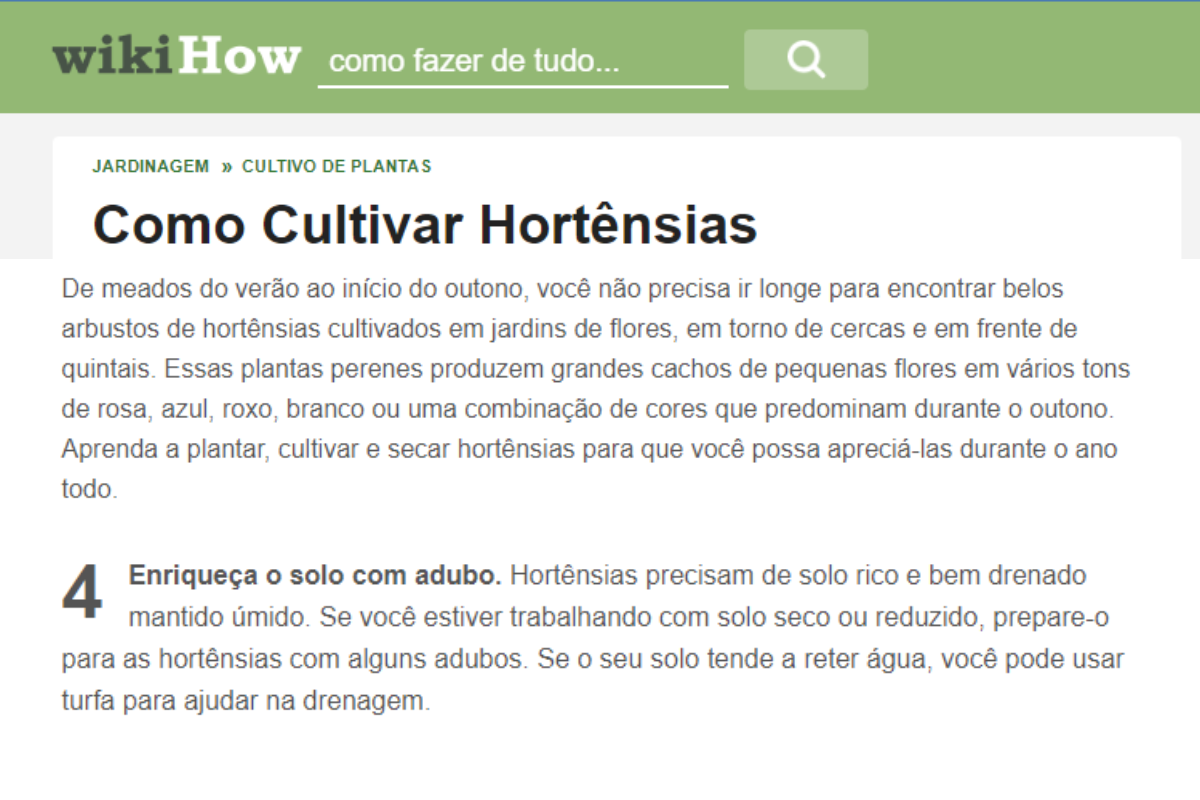 Como cultivar hortênsias-Foto Canva Pro