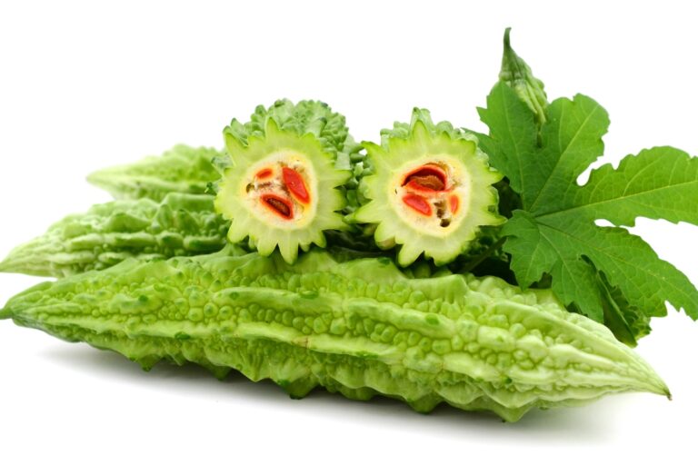 Melão-de-são-caetano; guia completo de plantio e cuidados da planta ...