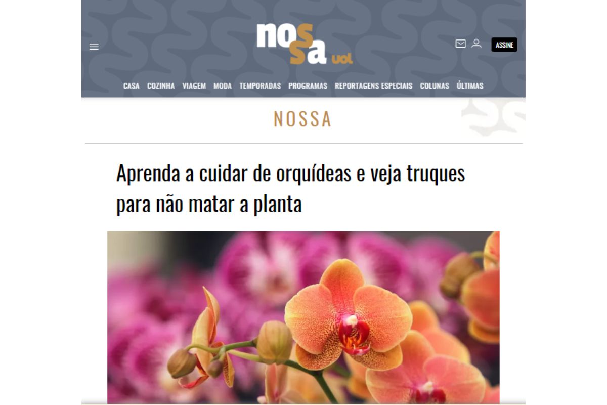 orquídeas (Reprodução Canva Pro)
