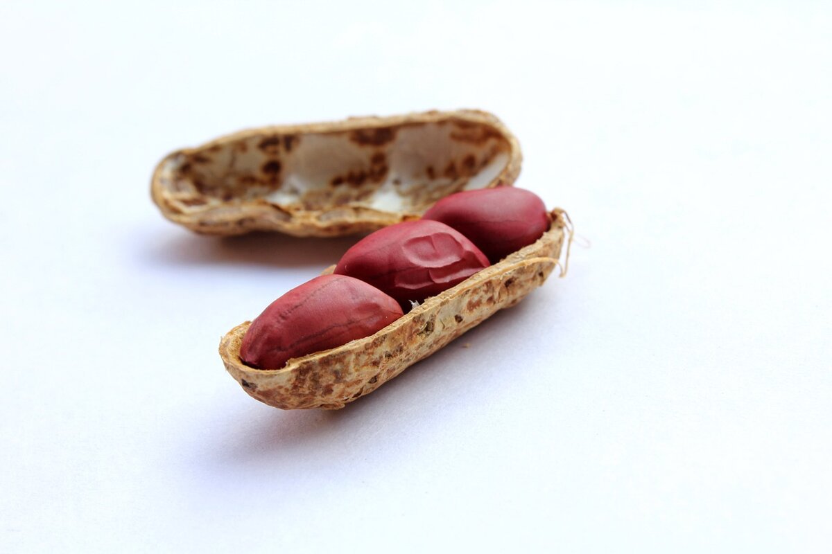 Manteiga de amendoim caseira: com essa receita você vai economizar muito; confira - Imagem: Pixabay