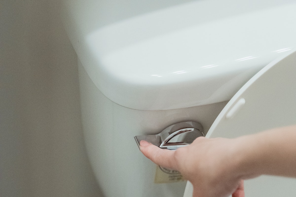 Como desentupir vaso sanitário? Confira as principais dicas e teste hoje