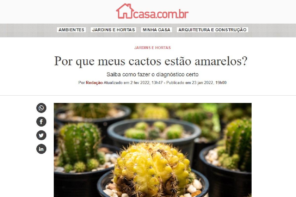 Reportagem sobre cactos (Foto: Reprodução Casa Abril)